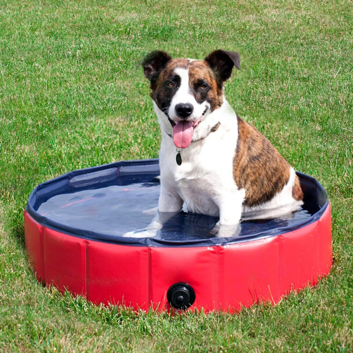 (image for) 160*30cm PVC Pet Bath Pool Dog Cat Animal Bath Washing Tub Folding Portable Swimming Pool