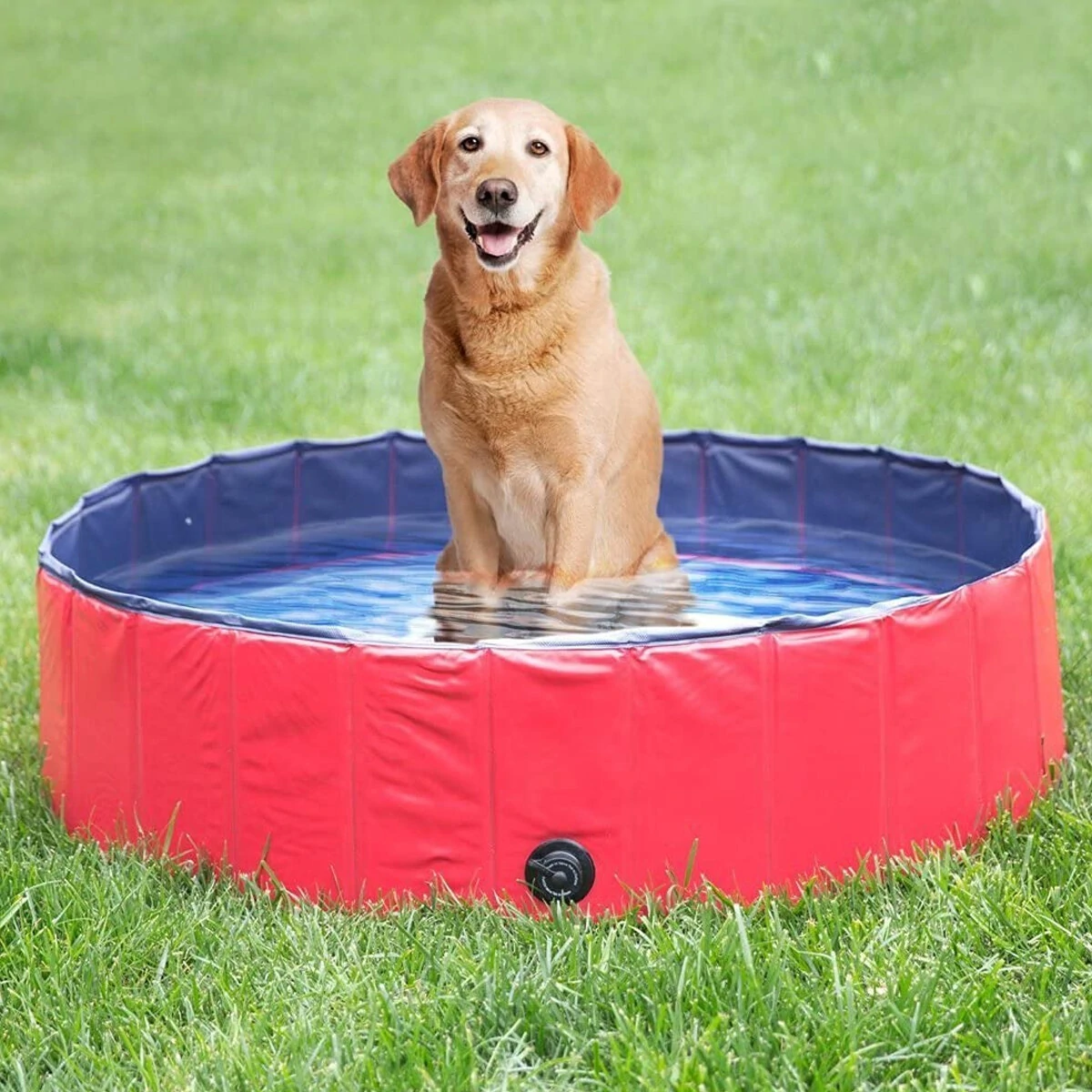 (image for) 160*30cm PVC Pet Bath Pool Dog Cat Animal Bath Washing Tub Folding Portable Swimming Pool